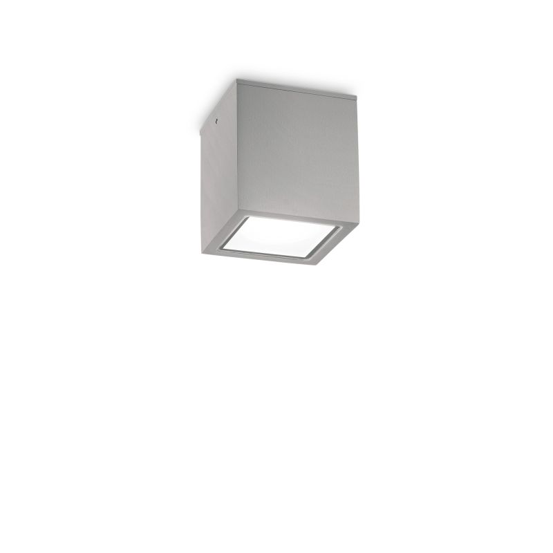 IdealLux-326894 - Techo - Surface-Mounted Grey Ceiling Light IP54