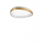 Gemini - Brushed Brass LED Flush 24W Gemini - Brushed Brass LED Flush 24W