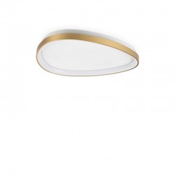Gemini - Brushed Brass LED Flush 30W