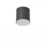 Techo - IP54 Surface-Mounted Black Ceiling Light ∅ 15 cm