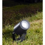 Mini Tommy - Black CCT Spike Spot