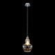 Maytoni-MOD238-PL-01-TR - Eustoma - Nickel Pendant with Clear Glass