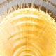Maytoni-MOD481WL-L5BS3K - Regatta - Brass LED Wall Lamp with Decorative Glass