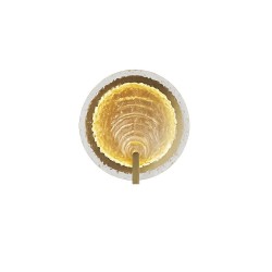 Regatta - Brass LED Wall Lamp with Decorative Glass