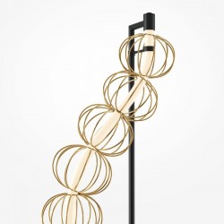 Golden Cage - Black LED Floor Lamp with Golden Cage Wire  Golden Cage - Black LED Floor Lamp with Golden Cage Wire