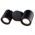 Wall Street - Outdoor Black Twin Wall Lamp