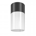 Willis - Outdoor Black & White Ceiling Lamp