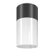 Maytoni-O418CL-01B - Willis - Outdoor Black & White Ceiling Lamp