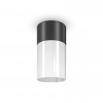 Willis - Outdoor Black & White Ceiling Lamp