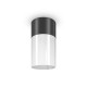 Maytoni-O418CL-01B - Willis - Outdoor Black & White Ceiling Lamp