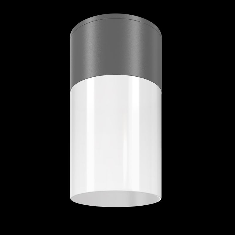 Maytoni-O418CL-01GR - Willis - Outdoor Grey & White Ceiling Lamp