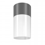 Willis - Outdoor Grey & White Ceiling Lamp