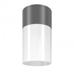 Willis - Outdoor Grey & White Ceiling Lamp