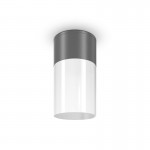 Willis - Outdoor Grey & White Ceiling Lamp