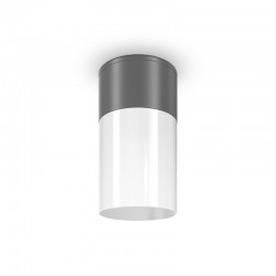 Willis - Outdoor Grey & White Ceiling Lamp