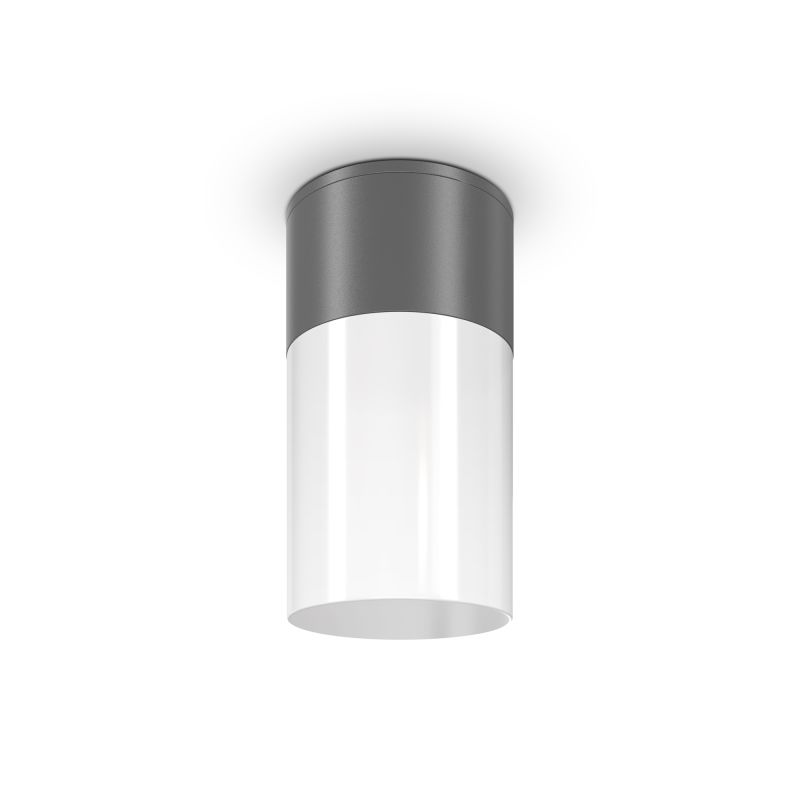 Maytoni-O418CL-01GR - Willis - Outdoor Grey & White Ceiling Lamp