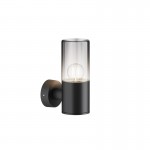 Amas - Outdoor Graphite Wall Lamp with Ombre Glass