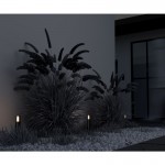 Glide - Outdoor Graphite Spike Spot with Glass Diffuser Glide - Outdoor Graphite Spike Spot with Glass Diffuser
