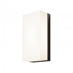 Badd - Outdoor Graphite & White LED Wall Lamp Badd - Outdoor Graphite & White LED Wall Lamp