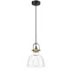 Ceiling Lights - Irving - Single Pendant with Transparent Glass Maytoni-T163-11-W - Irving - Single Pendant with Transparent Glass