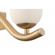 Wall Lights - Uva - White & Matt Gold 5 Light Wall Lamp Maytoni-MOD059WL-05G - Uva - White & Matt Gold 5 Light Wall Lamp