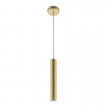 Pro Focus - Gold Pendant Pro Focus - Gold Pendant
