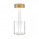 AI Collaboration - Rechargeable Gold Table Lamp with Glass Vase