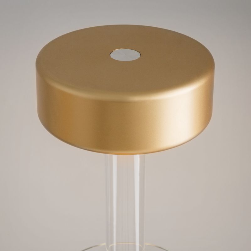 Maytoni-MOD229TL-L3G3K1 - AI Collaboration - Rechargeable Gold Table Lamp with Glass Vase