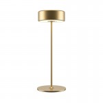 AI Collaboration - Rechargeable Gold Table Lamp AI Collaboration - Rechargeable Gold Table Lamp