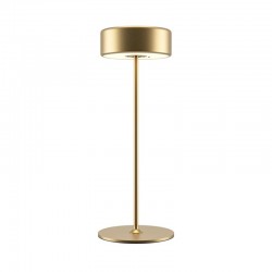 AI Collaboration - Rechargeable Gold Table Lamp AI Collaboration - Rechargeable Gold Table Lamp