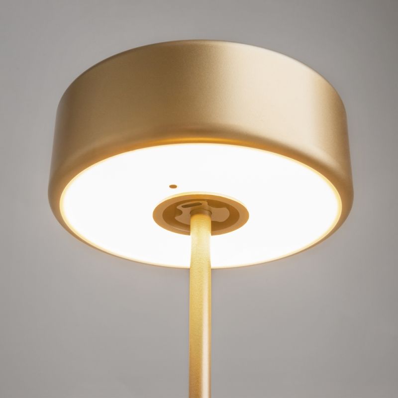 Maytoni-MOD229TL-L3G3K2 - AI Collaboration - Rechargeable Gold Table Lamp