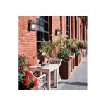 Salamanca - Brown Wall Lamp with Frosted Glass Salamanca - Brown Wall Lamp with Frosted Glass