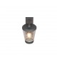 Trio-211069142 - Cavado - Anthracite PIR Wall Lamp with Clear Diffuser