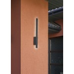 Tawa - Anthracite LED Wall Lamp IP54