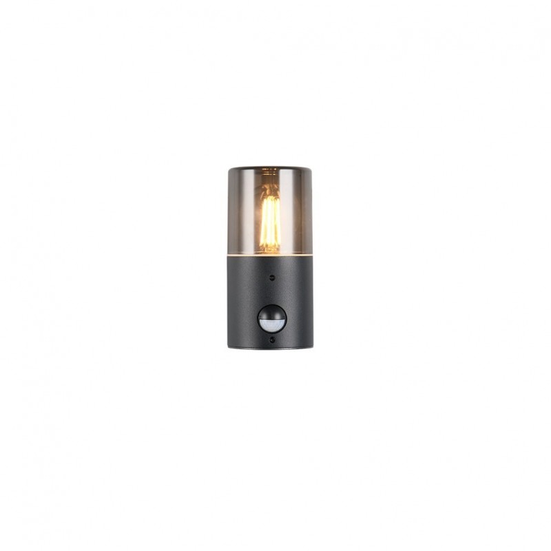 - Hoosic - Matt Black PIR Wall Lamp with Smoked Diffuser Trio-222260132 - Hoosic - Matt Black PIR Wall Lamp with Smoked Diffuser