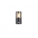 - Hoosic - Matt Black PIR Wall Lamp with Smoked Diffuser Trio-222260132 - Hoosic - Matt Black PIR Wall Lamp with Smoked Diffuser