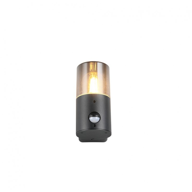 - Hoosic - Matt Black PIR Wall Lamp with Smoked Diffuser Trio-222260132 - Hoosic - Matt Black PIR Wall Lamp with Smoked Diffuser
