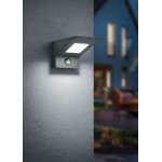 Nelson - Anthracite LED Wall Lamp IP54