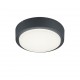 Trio-227260142 - Breg - Anthracite Ceiling / Wall Lamp Ø 20 cm
