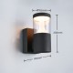 Trio-238560142 - Tagus - Anthracite CCT Wall Lamp with Clear Diffuser IP65