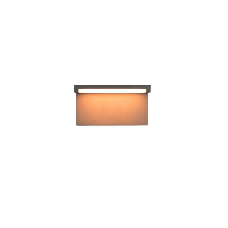 Trio-238660142 - Ravi - Anthracite CCT Wall Lamp with White Diffuser IP65