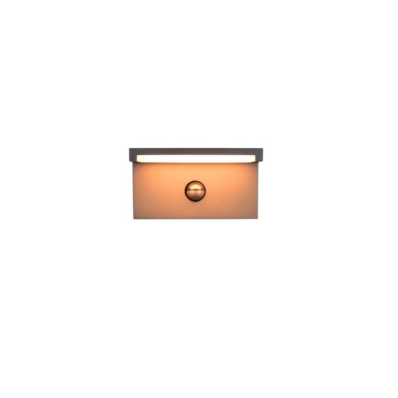 Trio-238669142 - Ravi - Anthracite CCT Sensor Wall Lamp with White Diffuser IP54