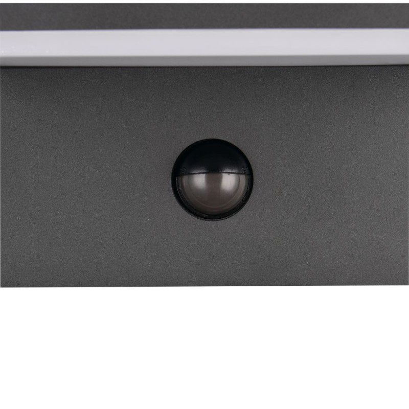 Trio-238669142 - Ravi - Anthracite CCT Sensor Wall Lamp with White Diffuser IP54
