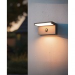 Ravi - Anthracite CCT Sensor Wall Lamp with White Diffuser IP54