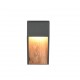- Salmon - Anthracite LED Wall Lamp with Wood Imitation Trio-246960135 - Salmon - Anthracite LED Wall Lamp with Wood Imitation