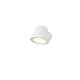 Trio-260360131 - Beni - Matt White Wall Lamp IP44