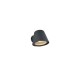 Trio-260360142 - Beni - Anthracite Wall Lamp IP44