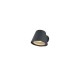 Trio-260360142 - Beni - Anthracite Wall Lamp IP44