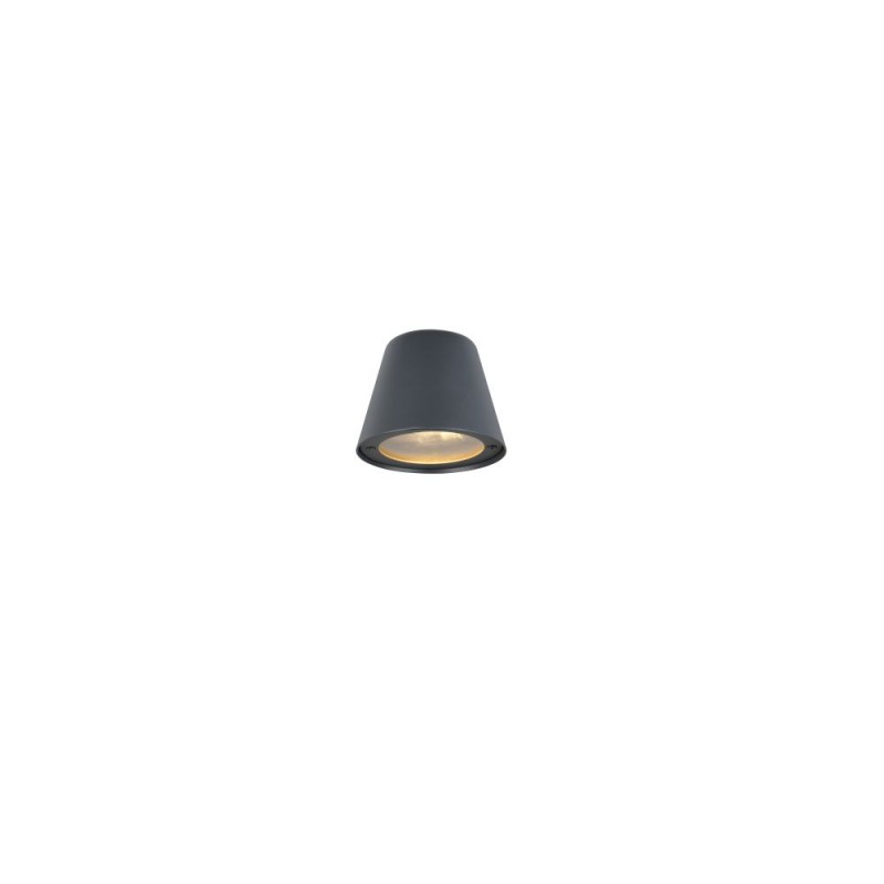 Trio-260360142 - Beni - Anthracite Wall Lamp IP44