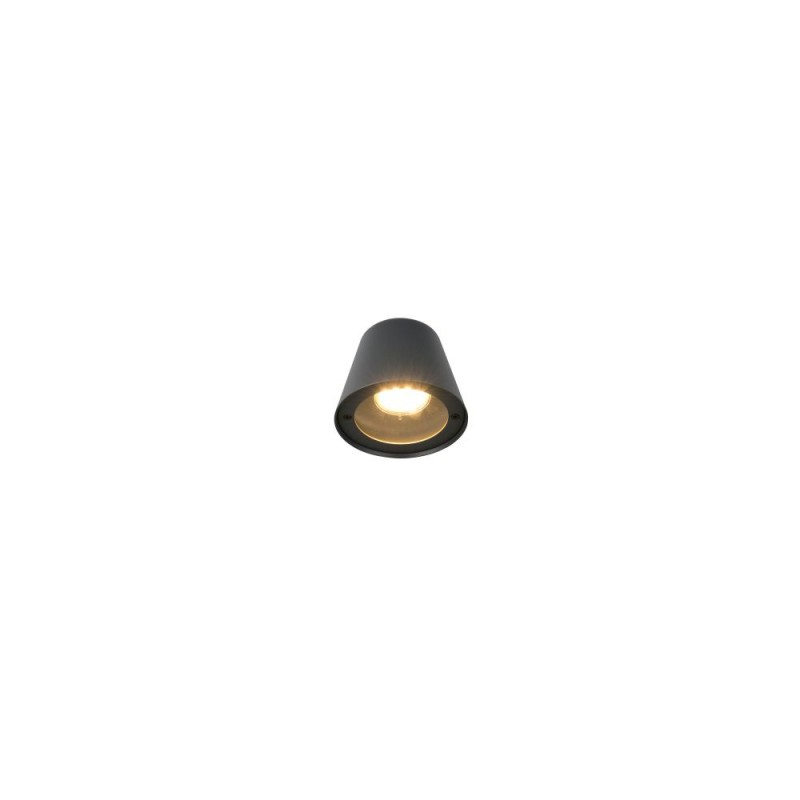 Trio-260360142 - Beni - Anthracite Wall Lamp IP44
